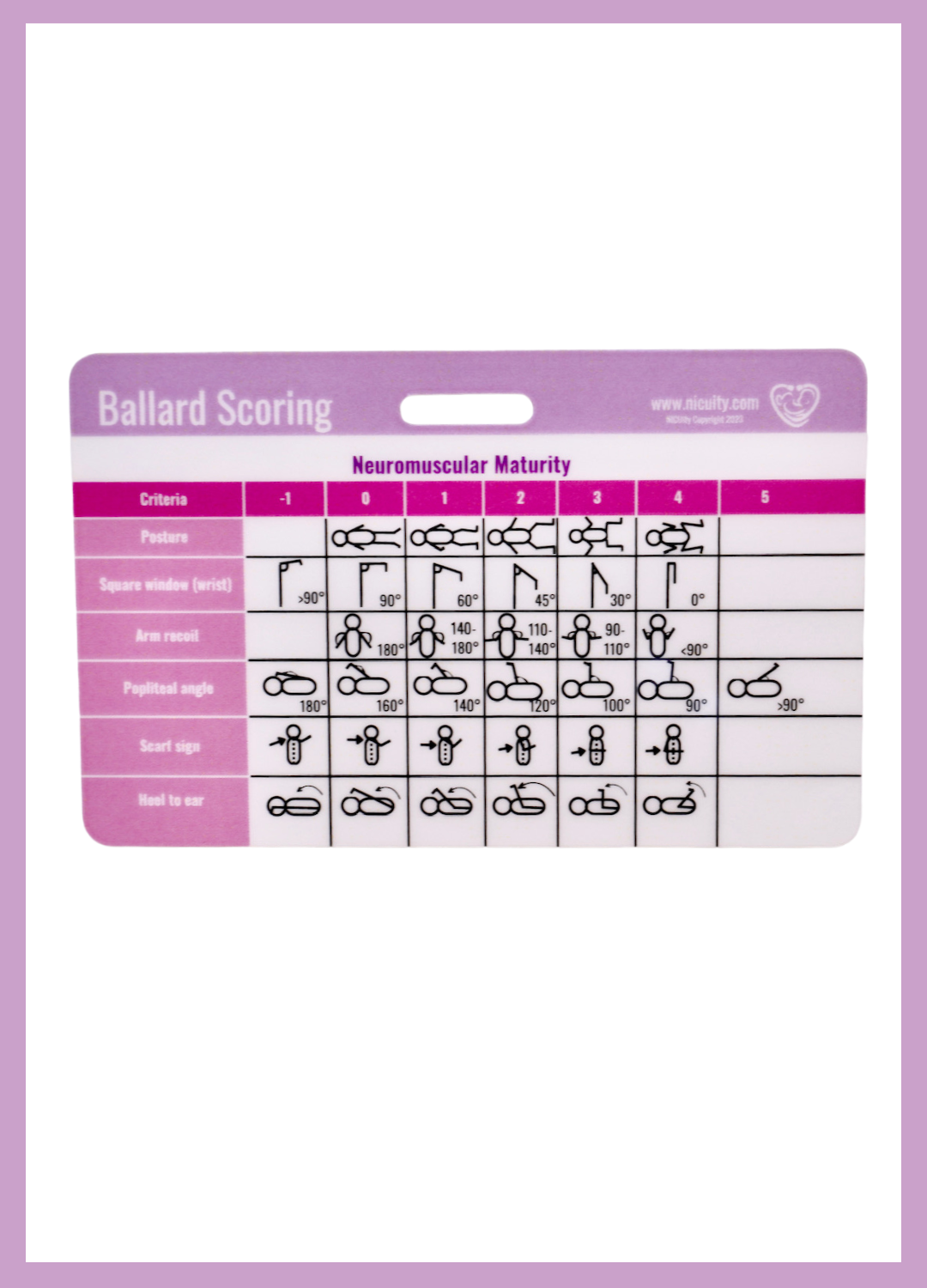 Ballard Inconsistent Ballard Score JaypeeDigital | EBook Reader